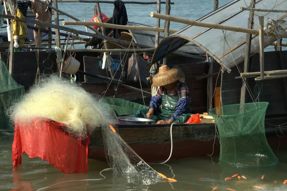 Fisherman in straw hat manages fishing nets on a boat surrounded by water.