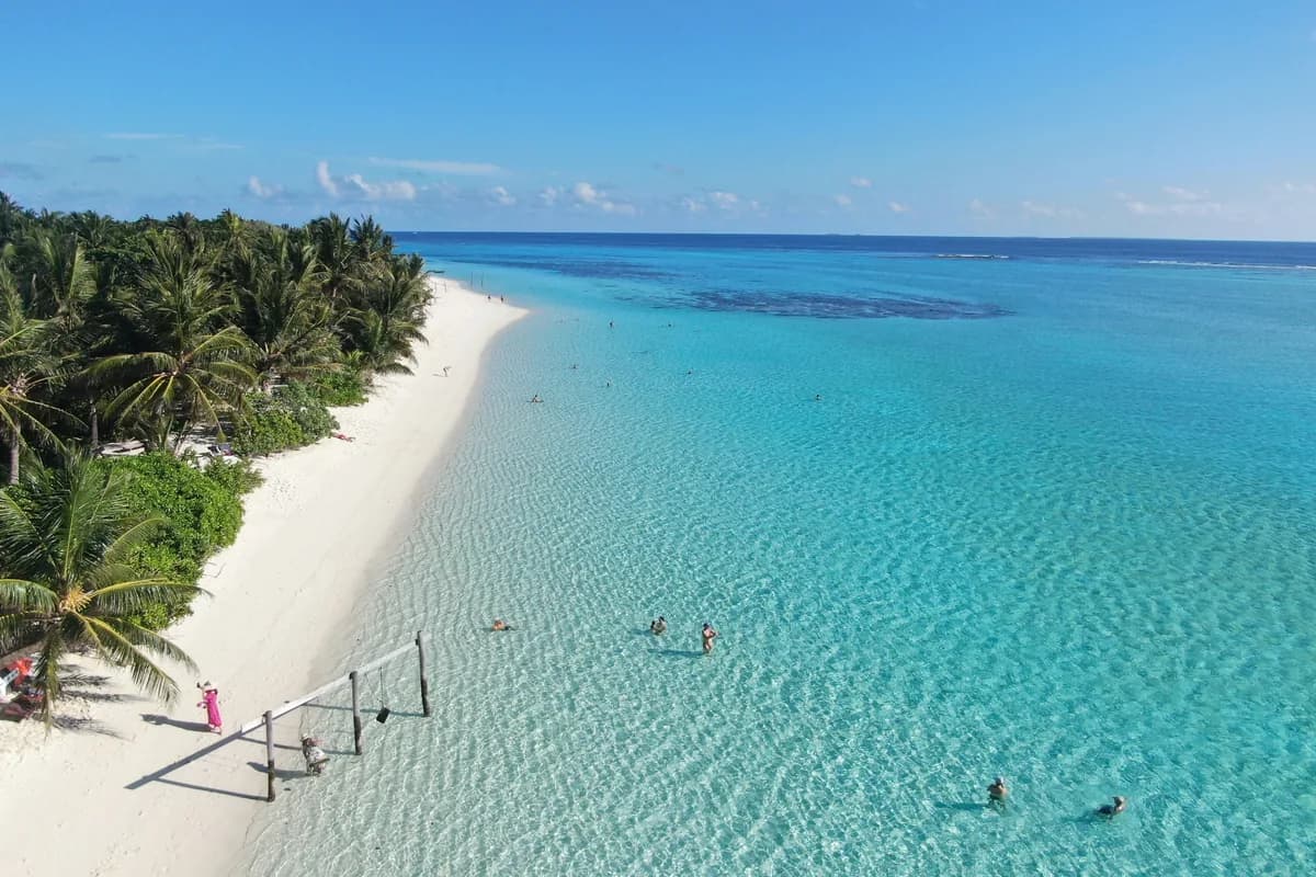 A palm-fringed white sand beach meeting clear turquoise water in the Maldives