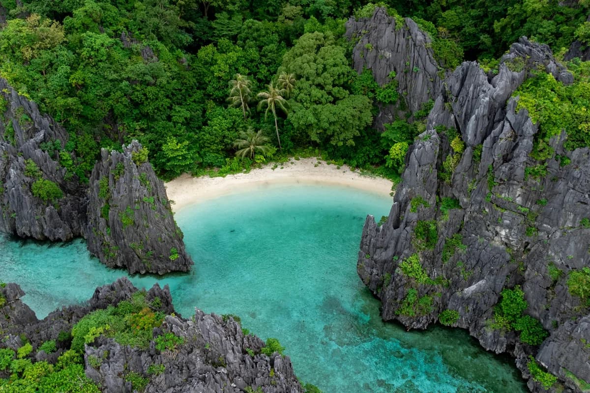Aerial view of a tree-lined beach and turquoise water in the Philippines