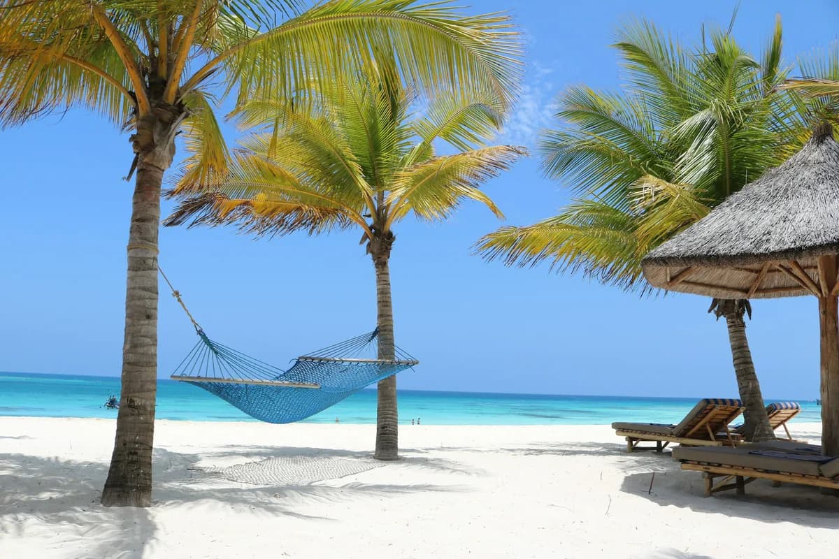 A hammock strung between two palm trees on a Tulum beach