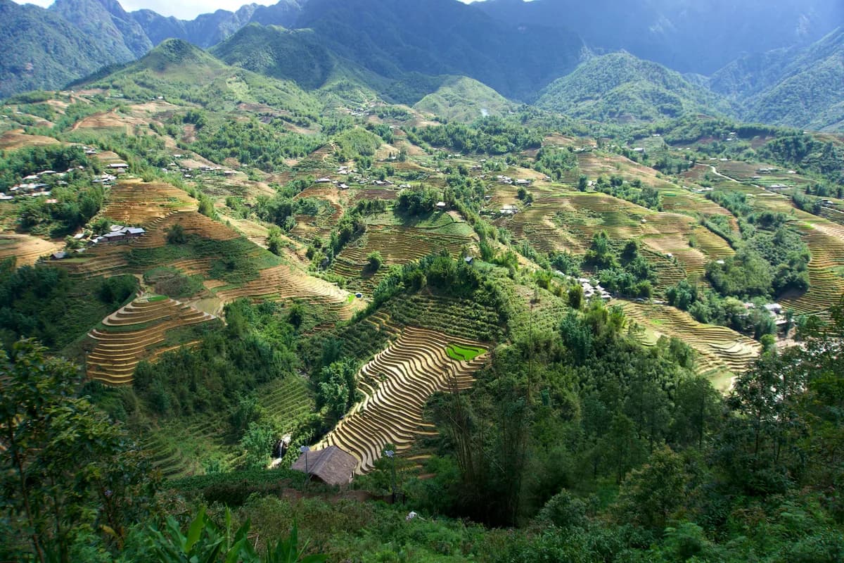 A breathtaking view of rice terraces in Sa Pa, showcasing traditional farming in Vietnam's lush mountain landscape.