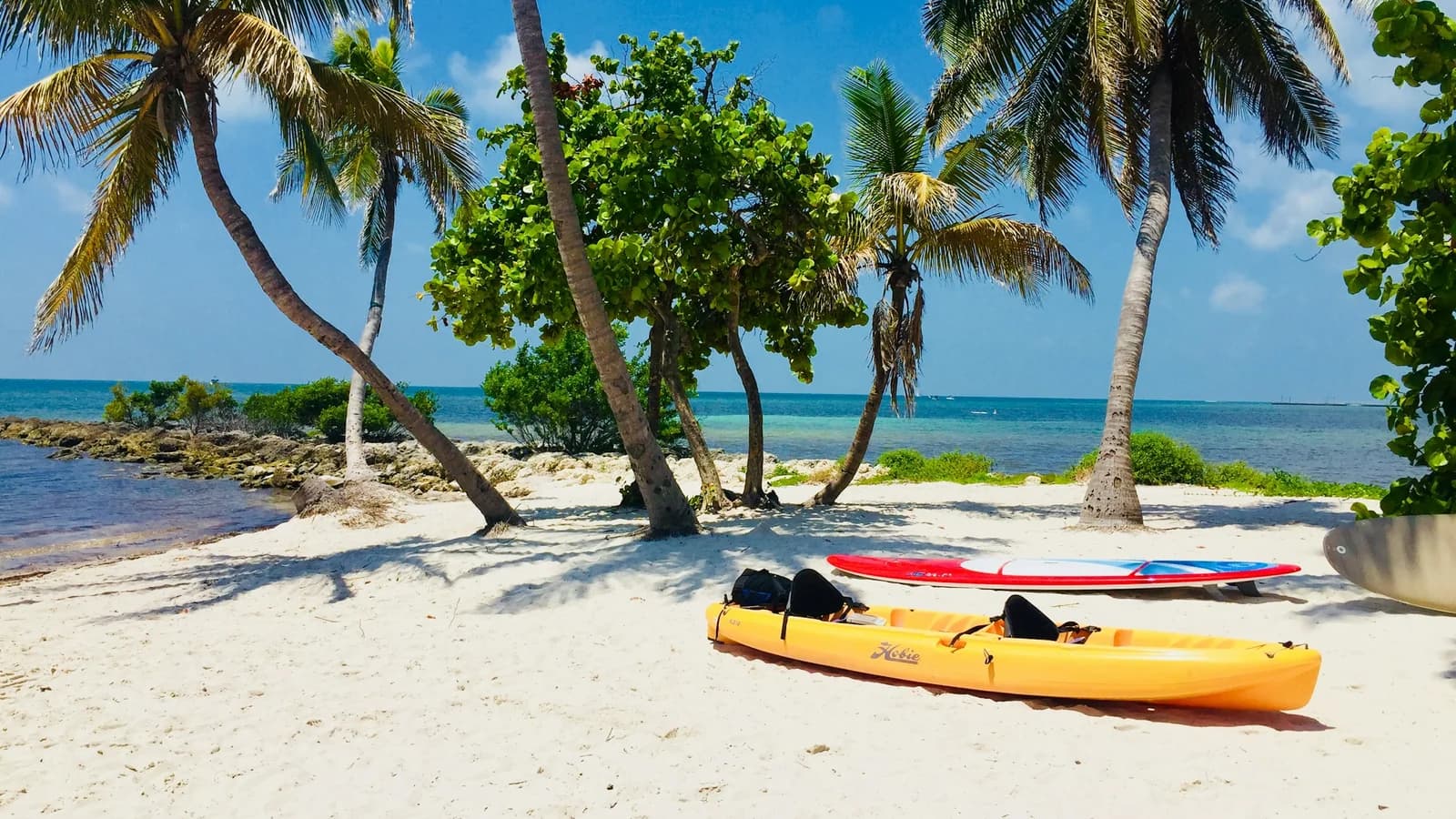 Surfboards resting on a sandy beach in Key West, Florida