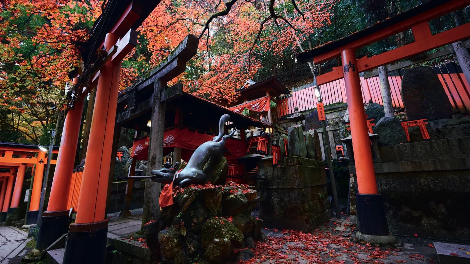 Vibrant Fushimi Inari Shrine in Kyoto clad in autumn colors with iconic red torii gates lining the pathway