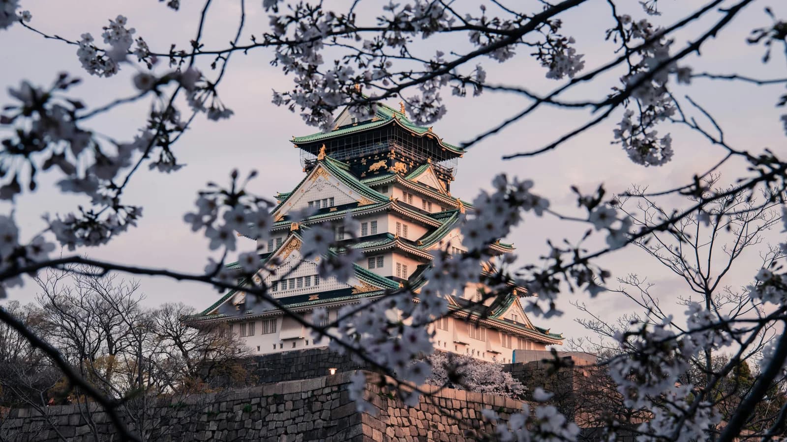 Osaka Castle framed by cherry blossoms under a blue sky