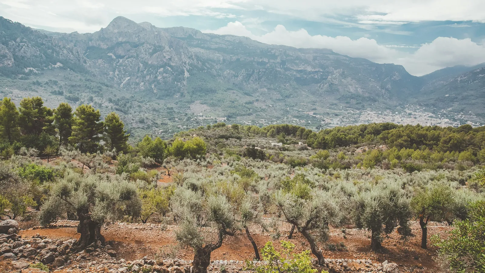 Palma de Mallorca, Spain — Balearic Island landscape