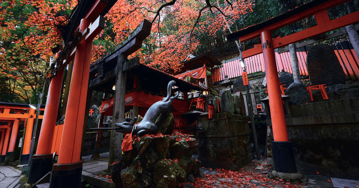 Best Time to Visit Kyoto (2026): Temple Season Guide — Atlas Ranger